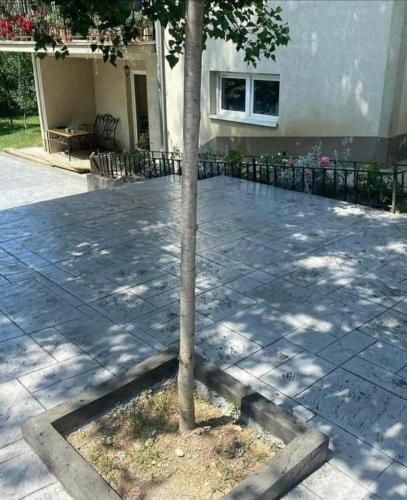 WhatsApp Image 2026-05-24 at 18.14.07 (11)